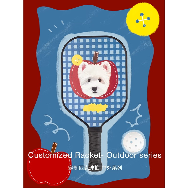 ZHAYA Pickleball Paddle T300 C - огляд і ціна Sports Equipment Photos